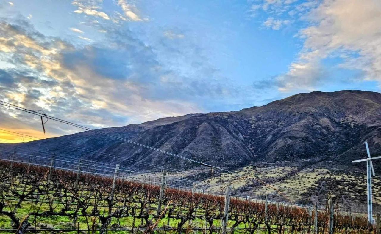 Gibbston - Wake Up In The Vines Leilighet Eksteriør bilde